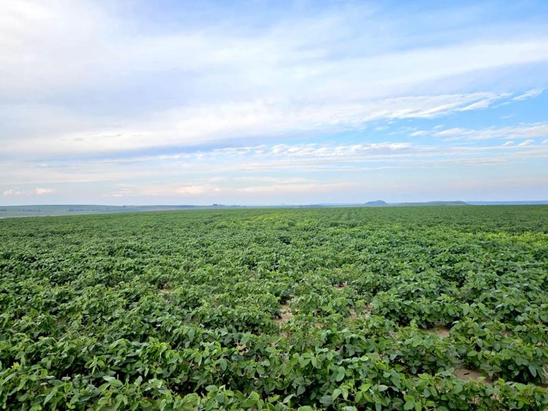 0 Bedroom Property for Sale in Bethlehem Rural Free State